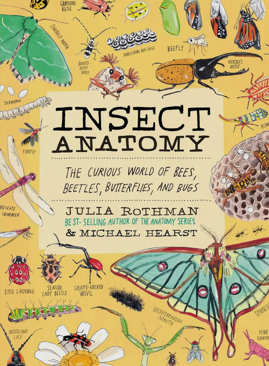 Julia Rothman Anatomy Books