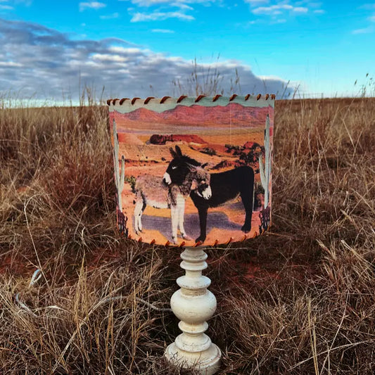 Two Burros 14" Shade
