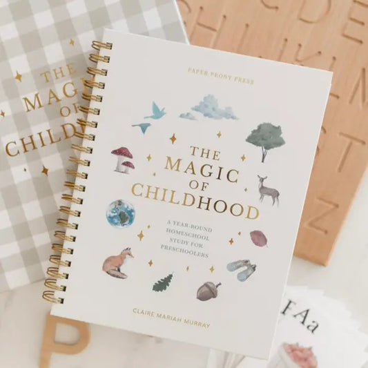 The Magic Of Childhood-Preschool Curriculum