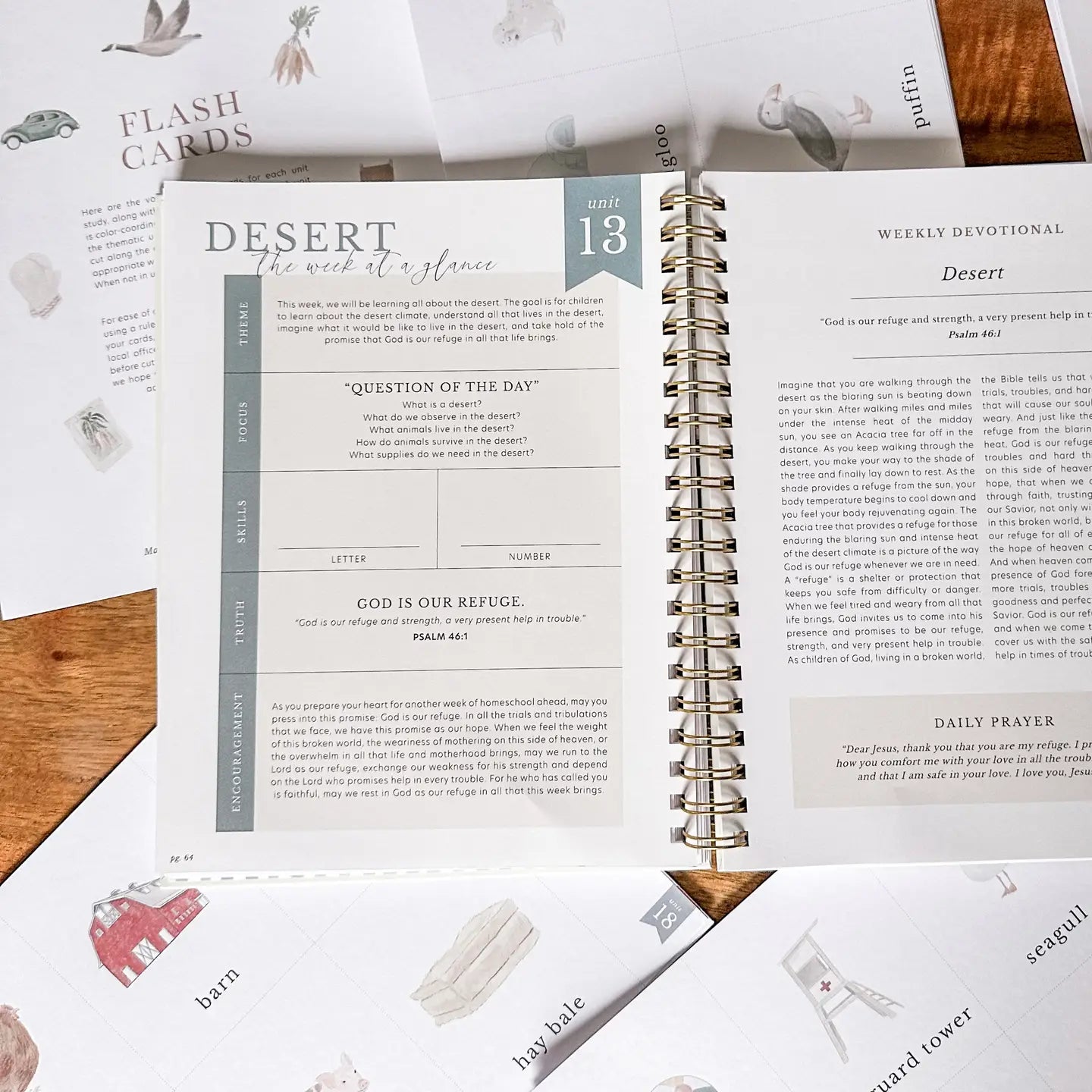 The Magic Of Childhood-Preschool Curriculum