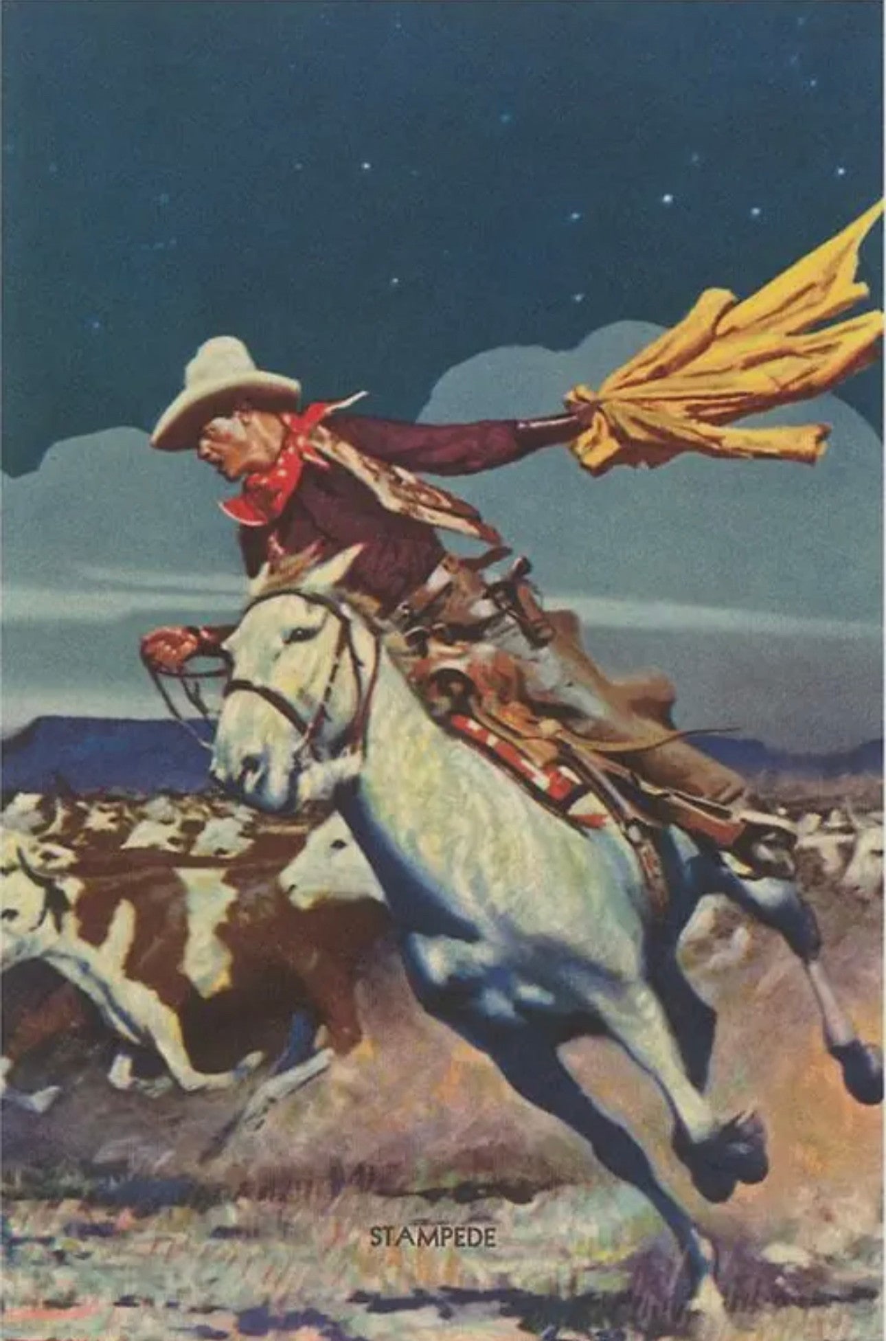 Western / Southwest Prints