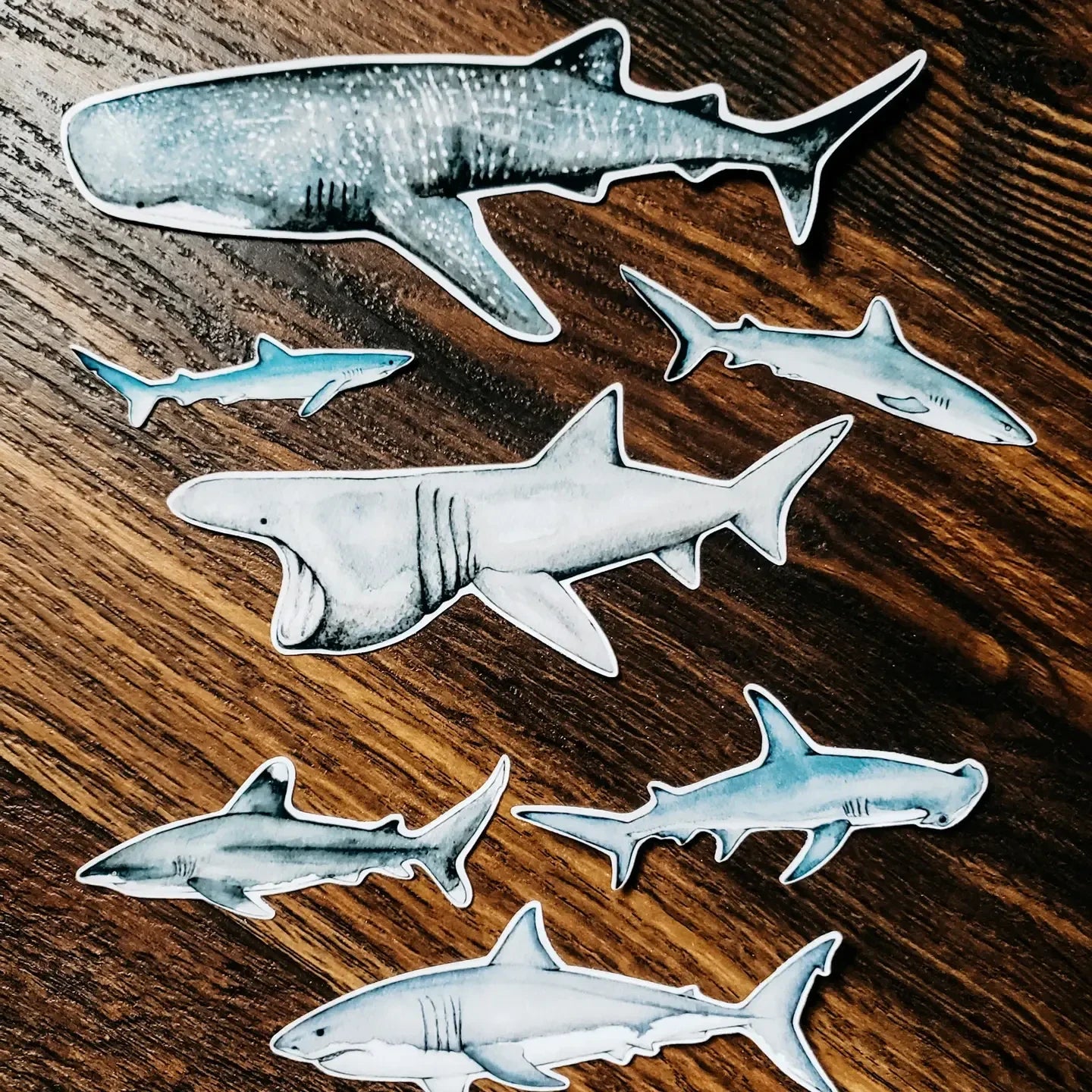 Sharks Sticker Pack