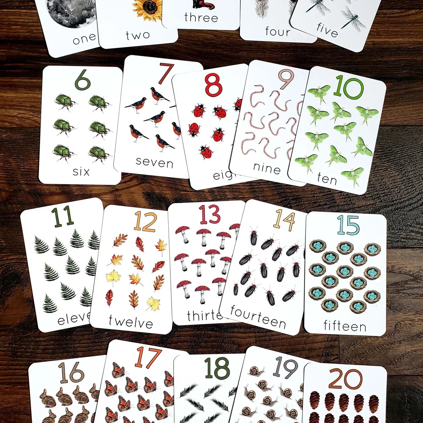 Backyard Nature Counting Cards